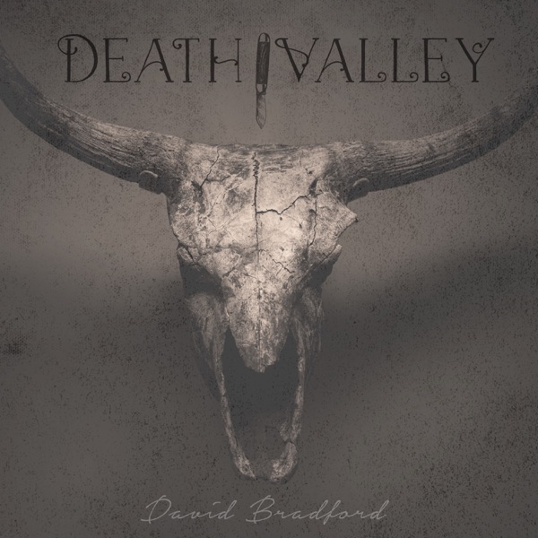 Official cover art for David Bradford's single, “Death Valley”.